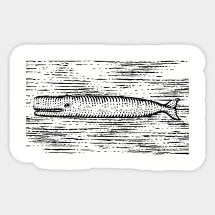 White Whale Sticker